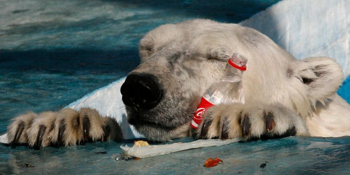 1600x900 The whole world is drinking less Cola-Cola now — Quartz