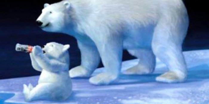 1400x1050 Our Sodas Are Getting Warm!': Commentary by a Polar Bear - Funny