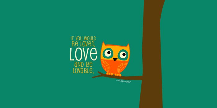 5333x3000 Free download Desktop Computer Wallpapers [5333x3000] for your