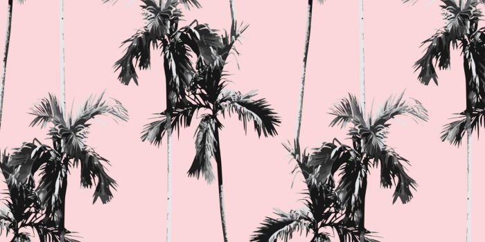 3028x1872 Vintage Photo Look Palm Trees Wallpaper for Walls | Forever Palms