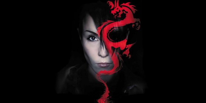 1244x700 GIRL WITH THE DRAGON TATTOO wallpaper | 1920x1080 | 102812