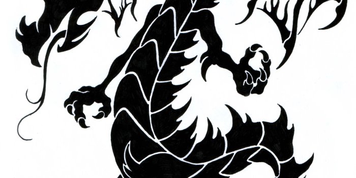 2442x3663 Dragon Tattoo Wallpaper #HBJR7S8 - Picserio.com