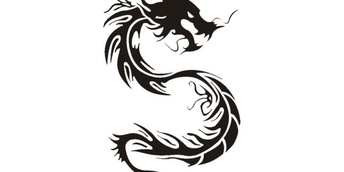 1280x1024 Free download Funny Dragon Tattoos 14 Background Wallpaper
