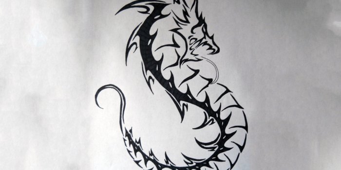 2560x1600 Dragon Tattoo Wallpapers - Top Free Dragon Tattoo Backgrounds