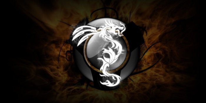 1680x1050 Free download Dragon tattoo Wallpapers Metal Graphic Arts Heavy