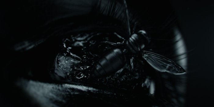 2560x1440 The Girl With The Dragon Tattoo wallpapers HD for desktop backgrounds