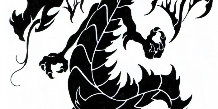 1680x1260 Funny Dragon Tattoos 17 Free Hd Wallpaper - Funnypicture.org