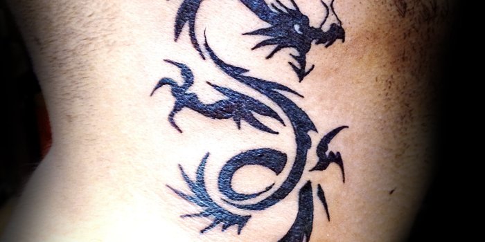 1866x2712 Designs Tribal Yin Yang Dragon Tattoo Wallpaper See - Tribal