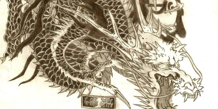 1510x989 Dragon Tattoo Yakuza Wallpapers HD / Desktop and Mobile Backgrounds