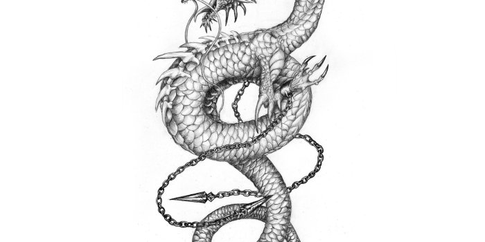 2560x2048 2560x2048, Chinese Dragon Wallpaper Tattoo - Cool Chinese Dragon