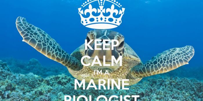 1440x900 Free download Marine Biology Wallpaper Marine Biology [1500x1000