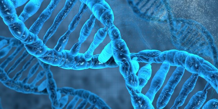 2048x1536 Genetics, Molecule, Marine Biology, Underwater, Blue - Human Genes