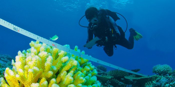 1920x1080 Marine Biology Major - Florida Southern College in Lakeland, FL
