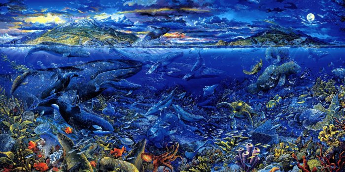 3405x1718 73 Sea Life HD Wallpapers | Background Images