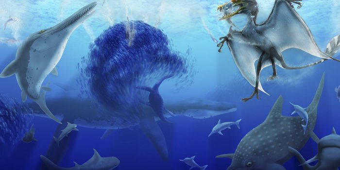 2048x1536 Ocean acidification killed off more than 90 per cent of marine
