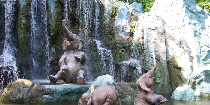 1280x853 Baby Elephant Wallpapers - Top Free Baby Elephant Backgrounds