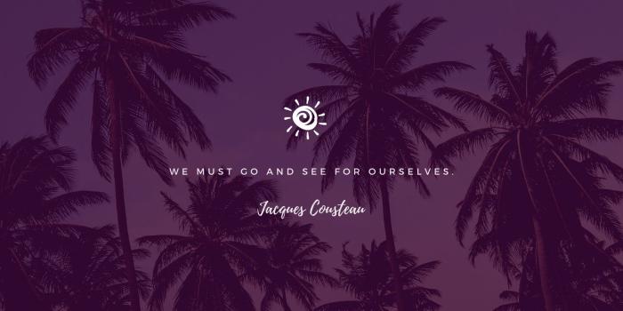 1600x900 Purple Beach and Coconut Trees Desktop Wallpaper - Templates by Canva