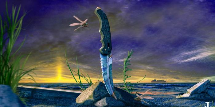 2560x1440 Art, Csgo, Knife, Wallpaer, Case Hardened, Flip - Cs Go Wallpaper