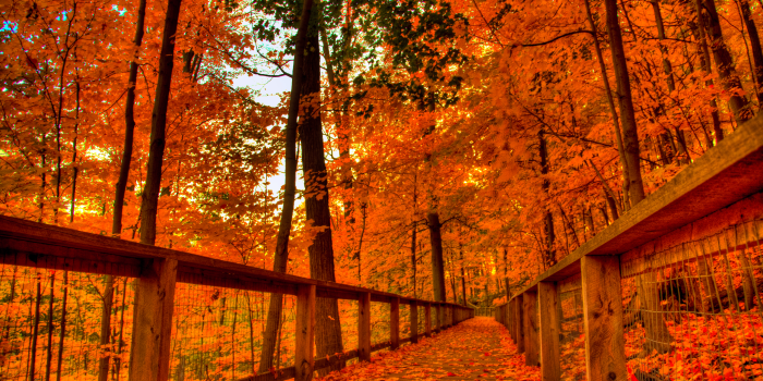2560x1705 Fall Colors Wallpapers - Top Free Fall Colors Backgrounds