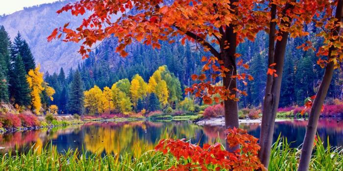 1280x960 Wherever this is, I'd like to live there. | Fall wallpaper