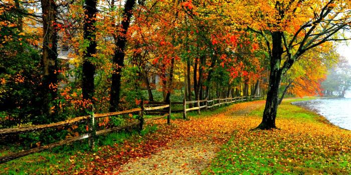 1680x1050 66+] Fall Colors Wallpaper on WallpaperSafari