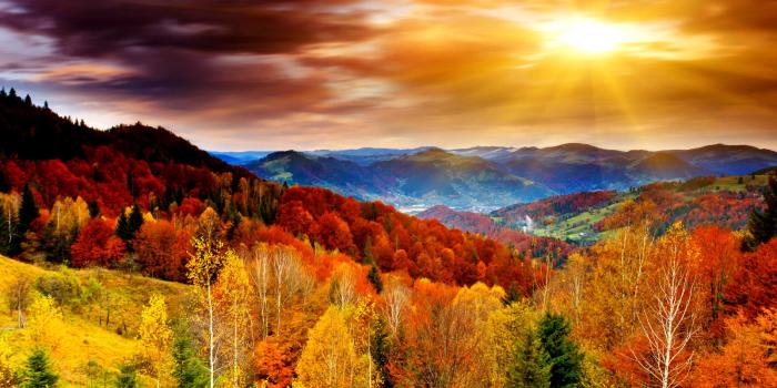 2560x1920 3D Fall Wallpaper (61+ images)