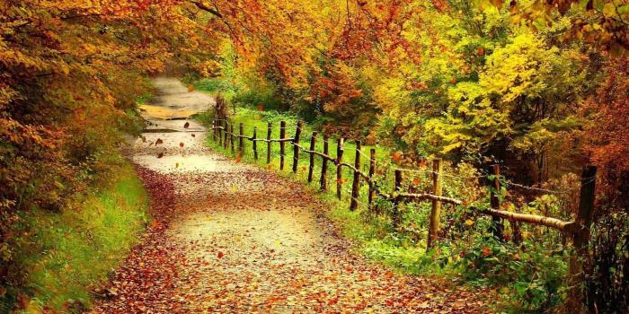 1920x1200 HD Fall Colours Wallpapers (48+ images)