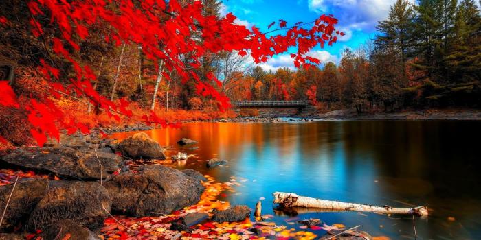 1920x1200 autumn, Season, Fall, Color, Tree, Forest, Nature, Landscape