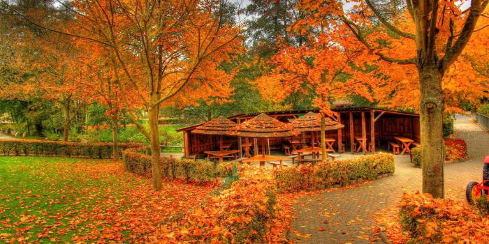 1920x1200 Fall Colors Wallpaper Background ·① WallpaperTag