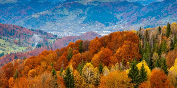 2524x2524 Colorful Fall Wallpapers Of The Week - Fall Trees Mountains