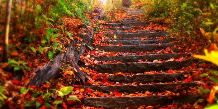 2560x1600 Fall Colors Wallpaper Background ·① WallpaperTag