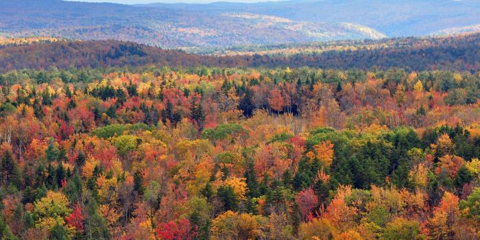 4288x2848 Vermont Fall Foliage Wallpapers - Top Free Vermont Fall Foliage