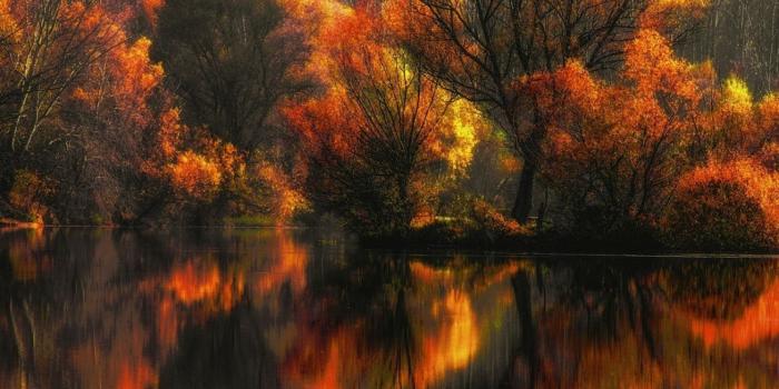 1307x700 Amber Colorful Fall forest lake landscape leaves nature reflection