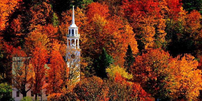 1920x1080 Fall Colors Wallpaper Background (57+ images)