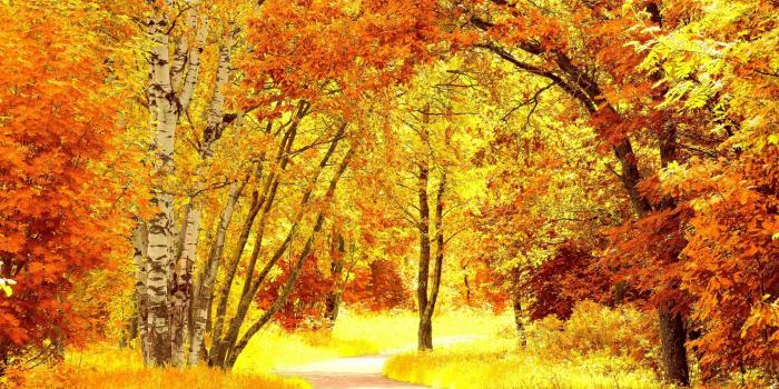 2560x1600 Free Download New Fall Colors Images