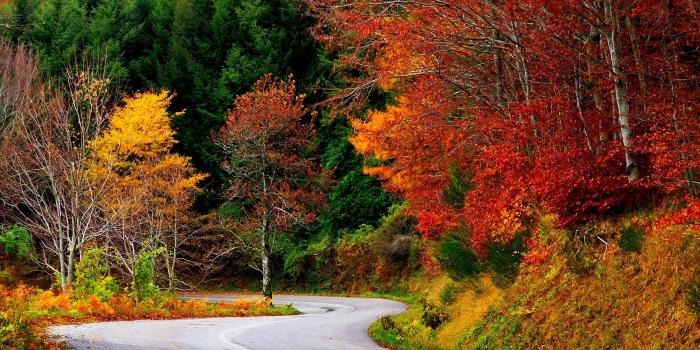 2592x1733 path, Forest, Autumn, Fall, Road, Leaves, Trees, Colorful, Nature