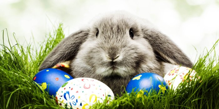2560x1600 Easter Wallpaper for Computer ·① WallpaperTag