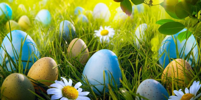 2560x1440 Disney Easter Wallpaper (67+ images)