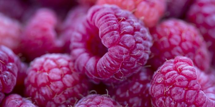 2560x1600 Raspberry ; ) wallpaper by motaen.ru 49360 (2560x1600px