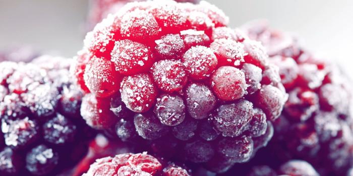 2560x1440 Raspberries HD wallpaper | Wallpaper Flare