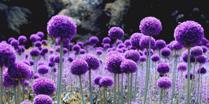 1200x750 Latest Wallpapers HD on Twitter: 