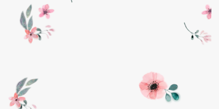 860x935 Watercolor Flower Wallpaper - Pastel Flower Watercolor Background