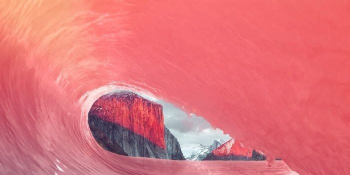 700x1244 Majestic wallpaper in 2020 | Best iphone wallpapers, Stunning