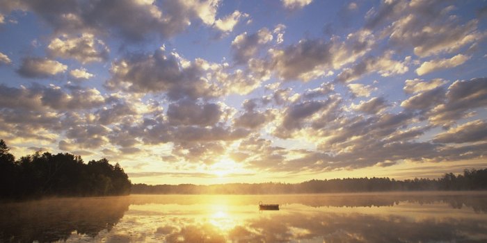 1920x1080 Best 57+ Majestic Wallpaper on HipWallpaper | Majestic Wallpaper