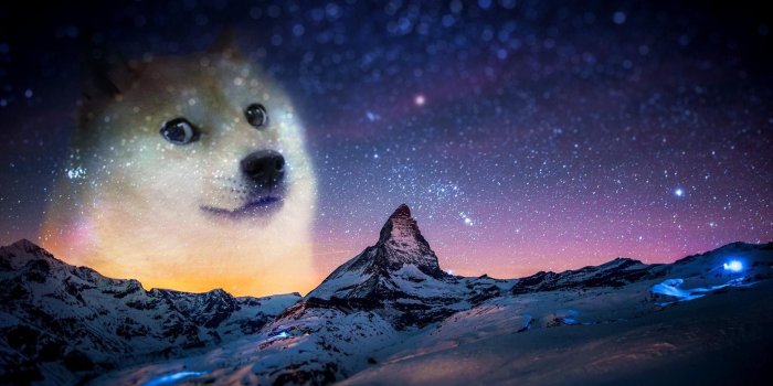 1920x1200 Best 56+ Doge Background HD on HipWallpaper | Banana Doge