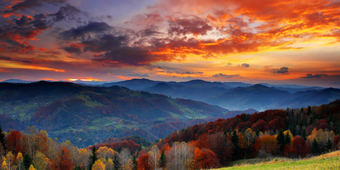 1600x1200 Majestic Wallpaper - HD Wallpapers