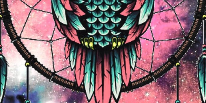 1080x2220 owl dream Catcher | Обои-совы, Иллюстрации сов, Сова картины