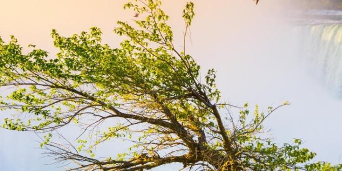 750x1334 Majestic waterfall HD wallpaper download