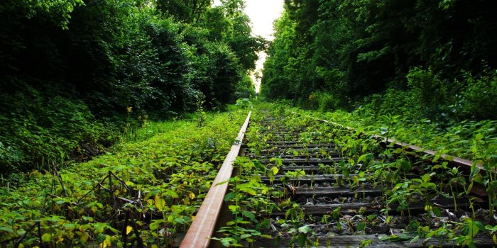 2560x1600 Free download Lydia Voth on Majestic Iphone wallpaper green