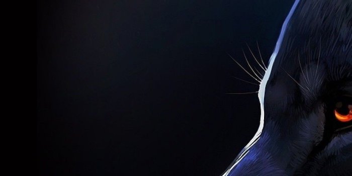 1080x1920 Download 1080x1920 Wolf, Profile View, Majestic, Red Eyes, Furry